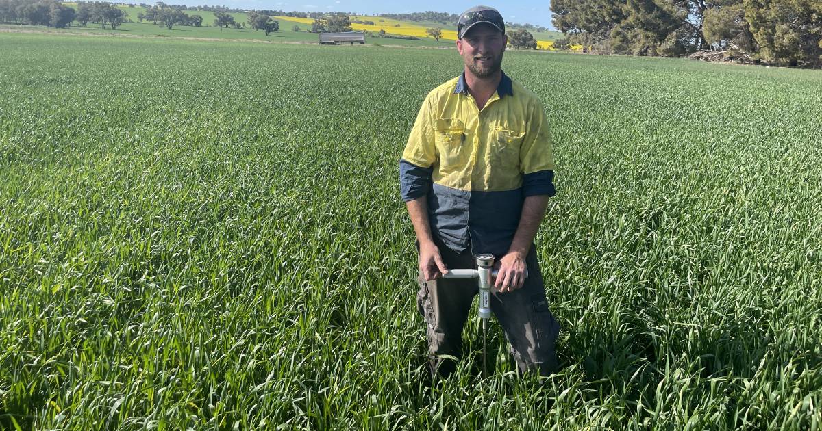 Breaking through the hardpans at Marrar