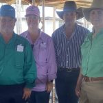 Shearers tackle big Merino fleece shorn at Central West property