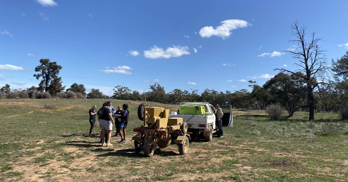 Sandhill Pine seeds are in the ground and ready to grow