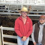 Supermarket forward contracts winding back, in line with broader cattle market