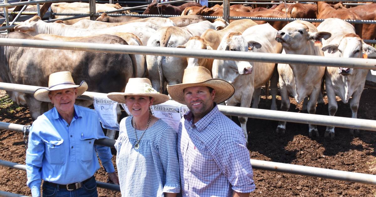 Hillview claim grand champion exhibit at Clermont Beef Expo | Photos