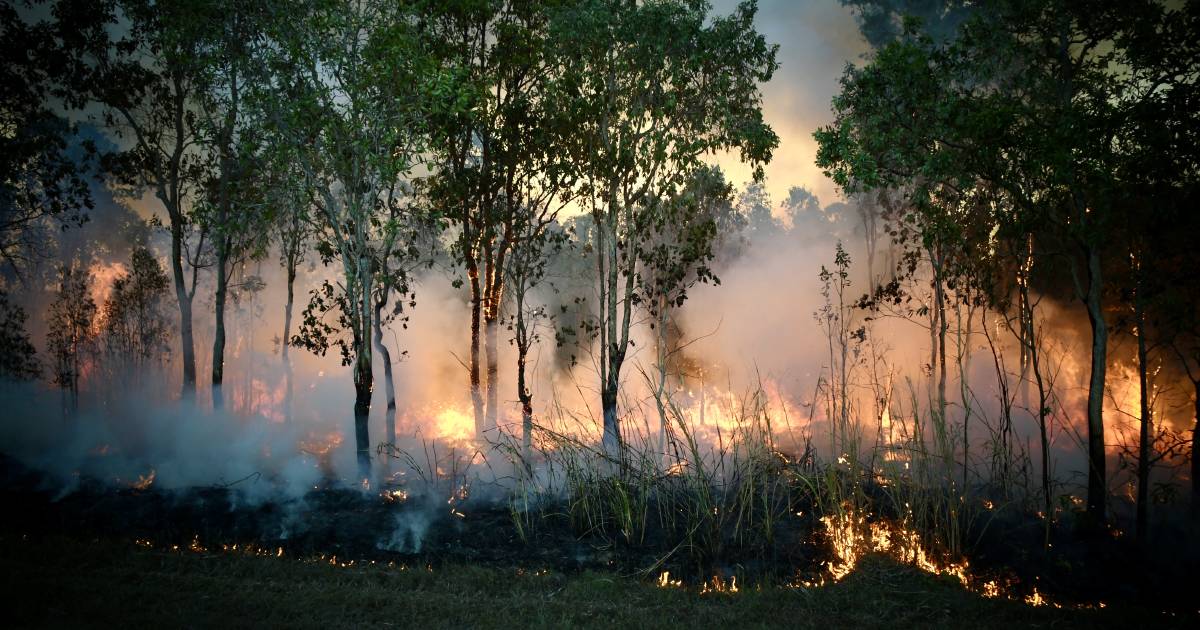 Queensland fires in 70 locations with a high to extreme fire danger rating recorded for southern and south eastern areas | Queensland Country Life