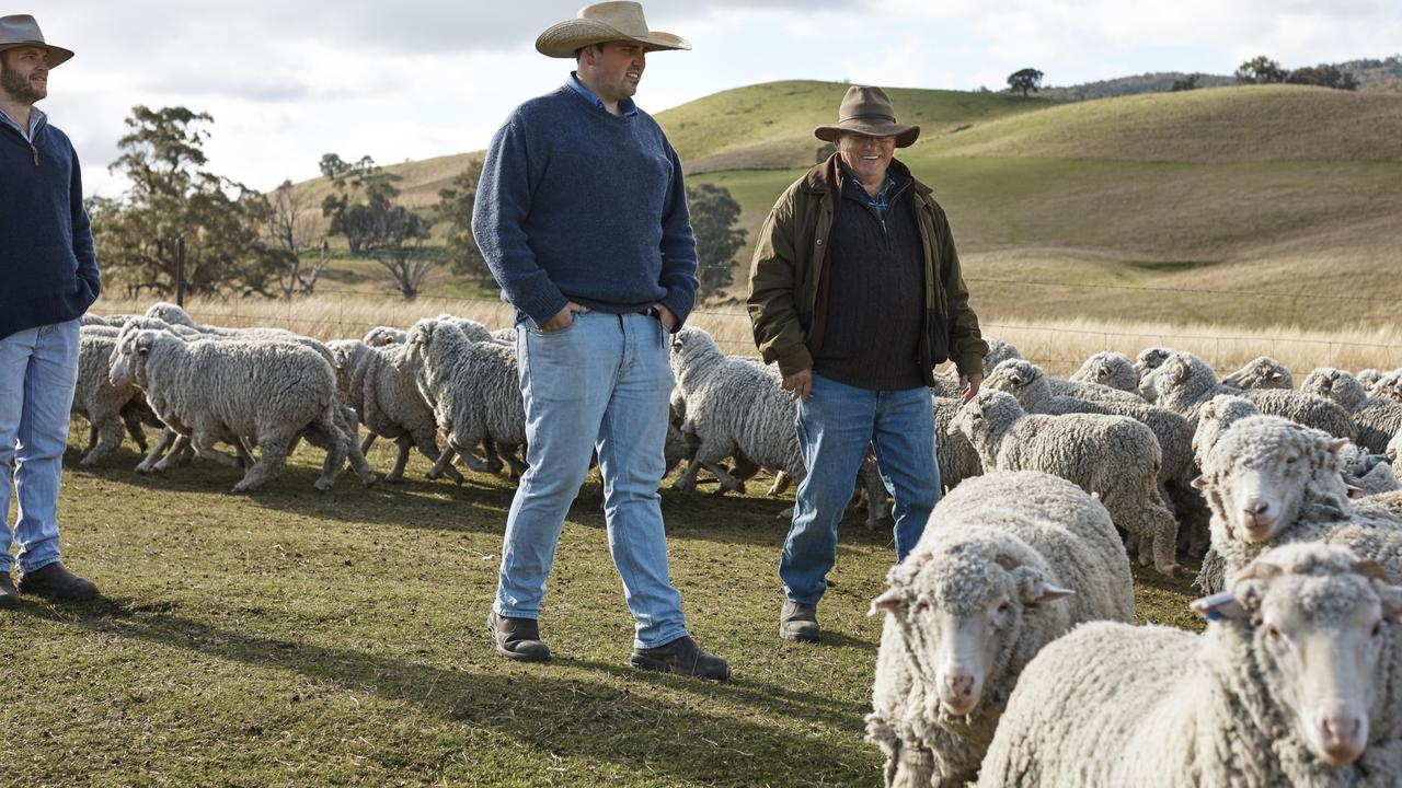 Australian Wool Innovation: Ed Storey could miss out on board position