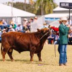 See what the Channel Country Ladies Day served up at Bedourie | Queensland Country Life