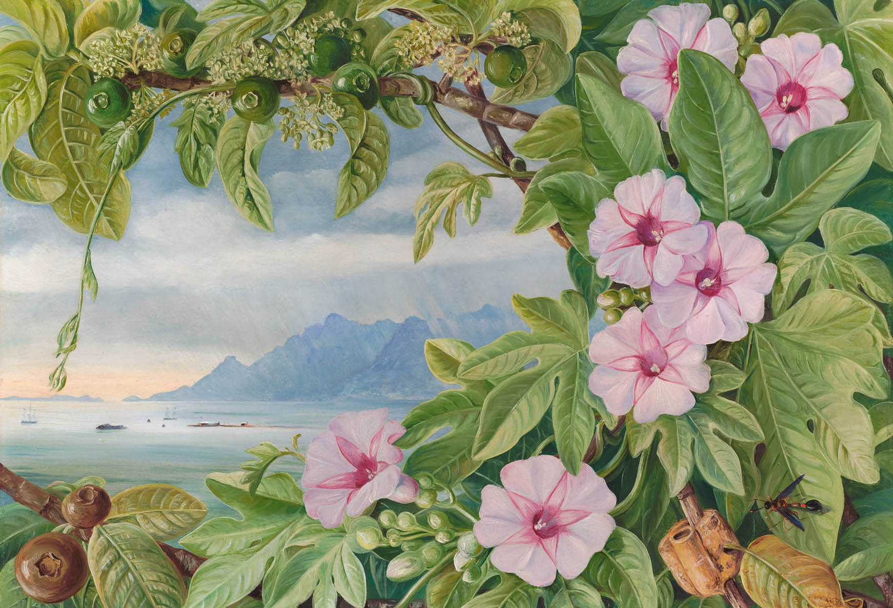 Marianne North: The intrepid Victorian who climbed mountains and paddled up rapids to create unforgettable natural art