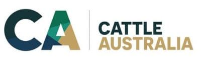 Cattle Australia calls for Director nominations