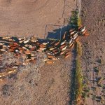 Take 5 to work safely this harvest