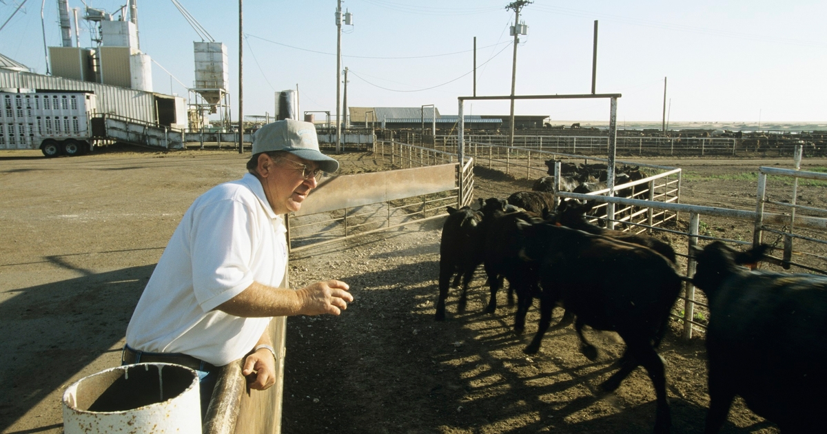 2024 Cattle Feeders Hall of Fame honorees announced