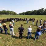 Pasture and range conditions ending on slightly sour note