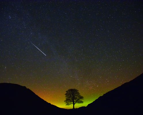 Jason Goodwin: How to fill the Sycamore Gap