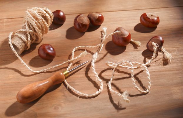 Curious Questions: How to win at conkers