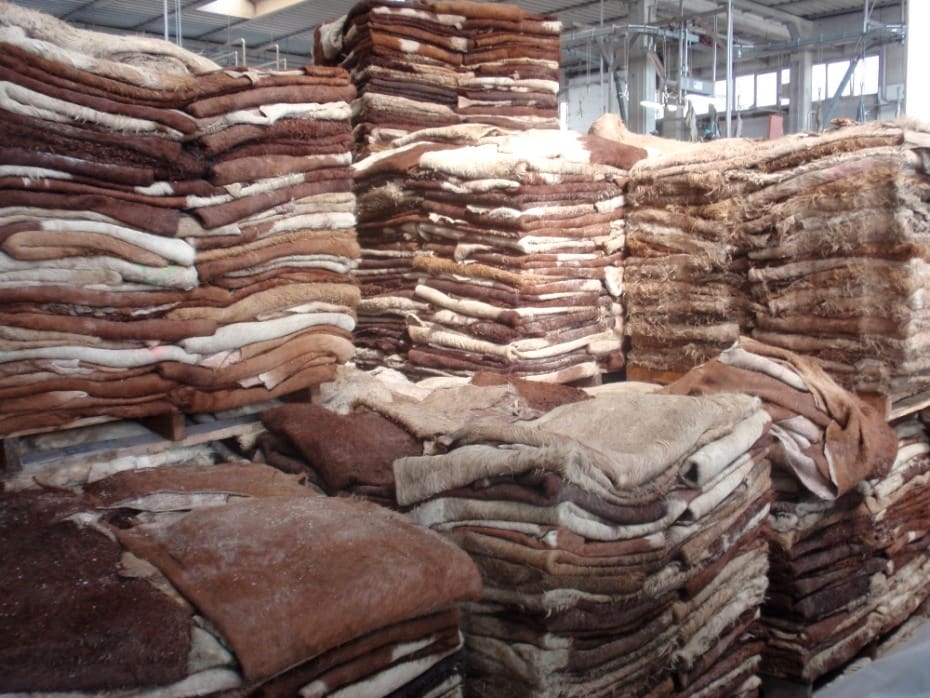 Leather industry to crack the whip on sustainability at COP 28