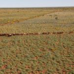 Red tape still stalling bushfire preparations, landholders say