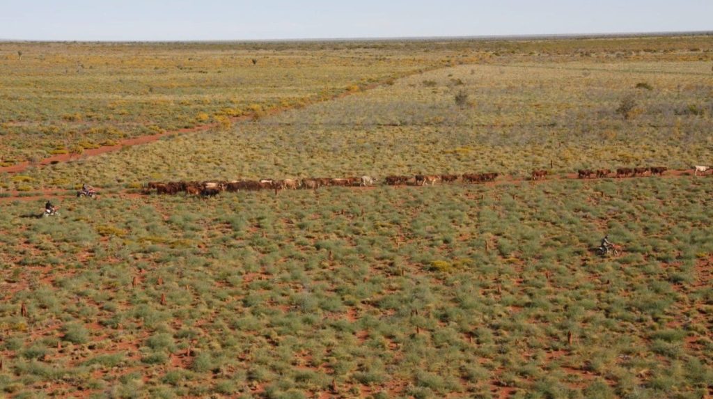 Large scale 2.9m ha Kimberley aggregation set to test the market