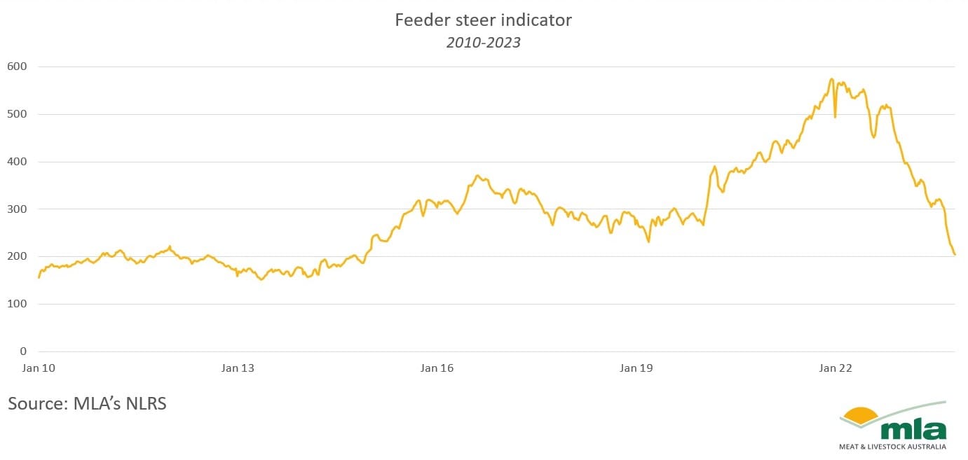 Feeder steer indictor threatens to fall through 200c/kg, for first time since 2014