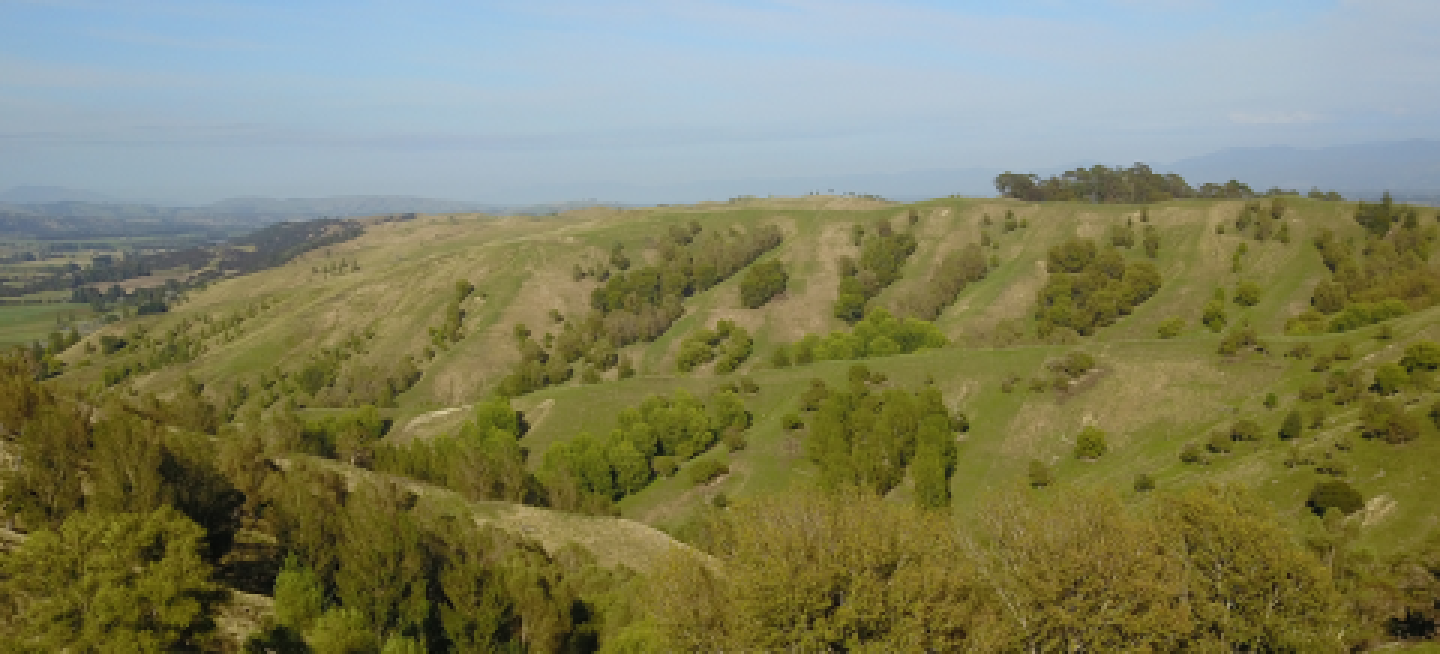 Report shows impact of new and proposed environmental regulations on NZ farmers