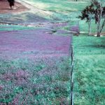 Weekly rainfall update + rainfall outlook 10 October 2023