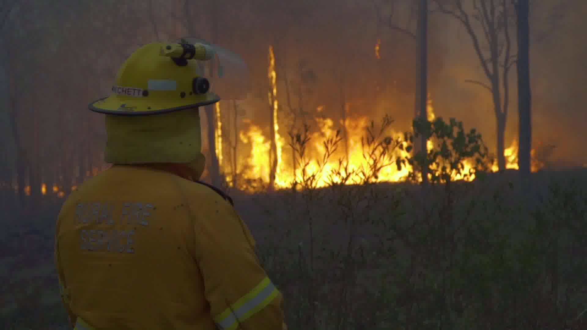 Should more heat be put on the emissions caused by bushfires?