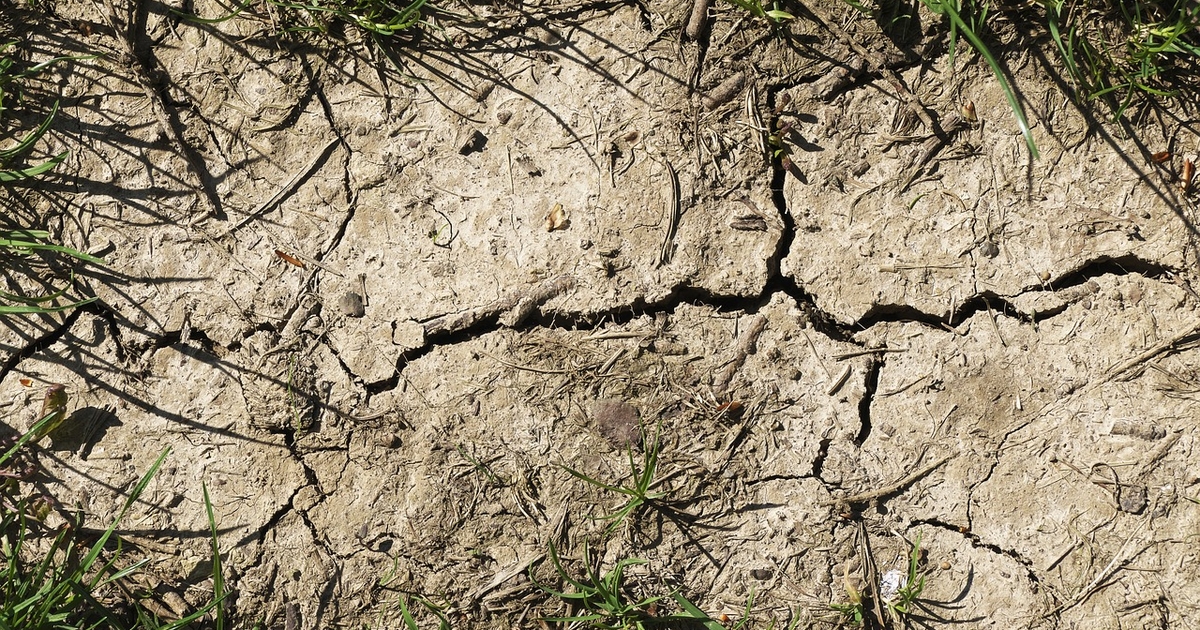 Pasture and range conditions ending on slightly sour note