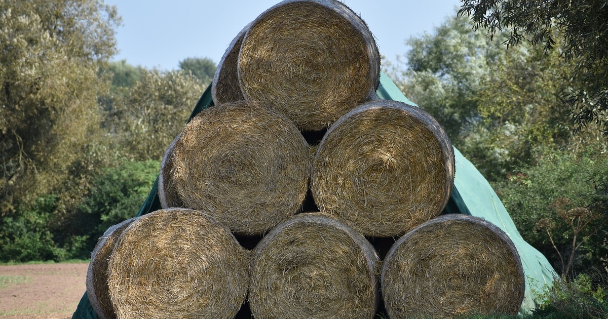 University of Missouri, Missouri Department of Agriculture helping producers find hay