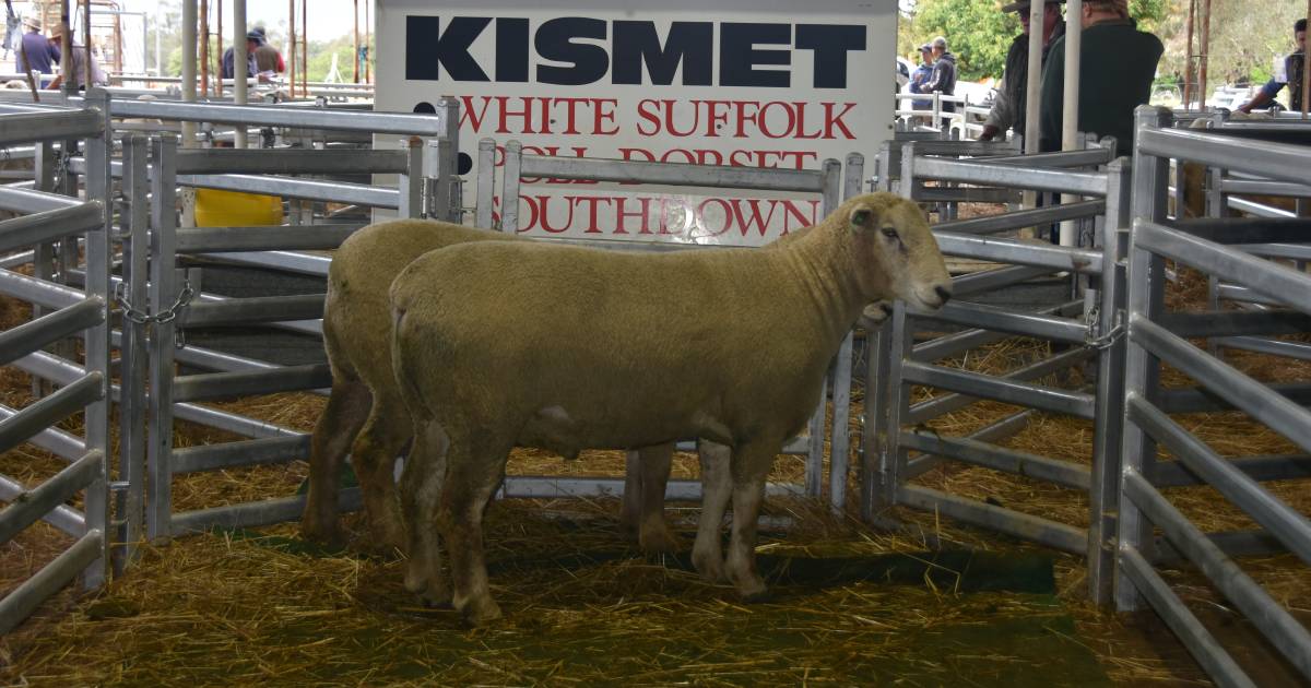 Repeat buyers show faith in industry at Kismet