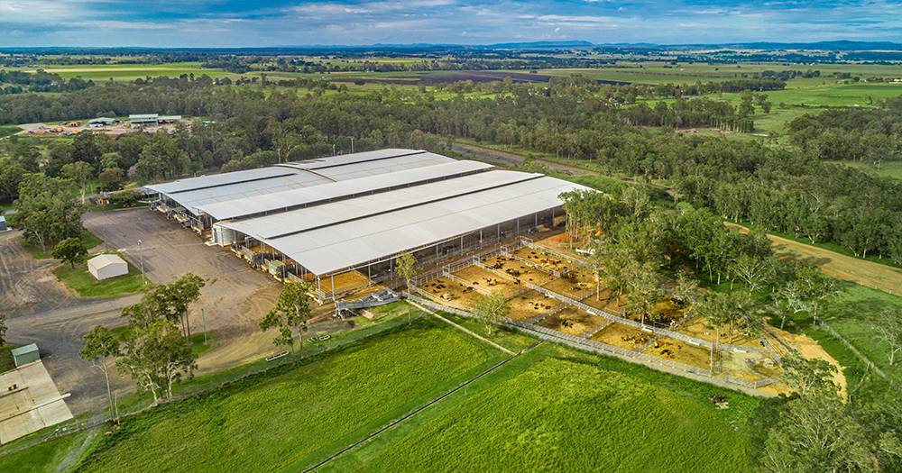 Tender called for lease of Casino's NRLX saleyards