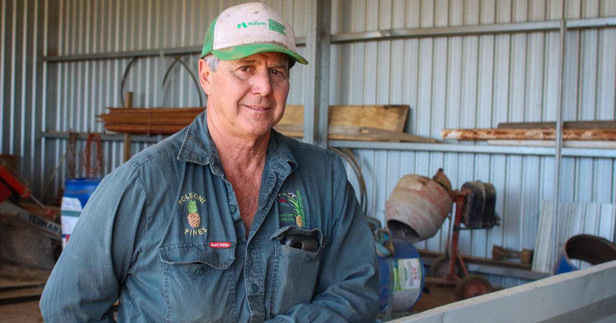 Tony Polsoni hopeful pineapple growers have turned a corner | Queensland Country Life