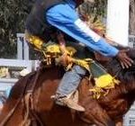 Man serious after being set alight at Deni Ute Muster