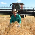 Torrens Creek graziers aiming to improve management strategies | North Queensland Register