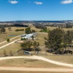 Brangus female herd dispersal attracts fierce bidding at Emerald