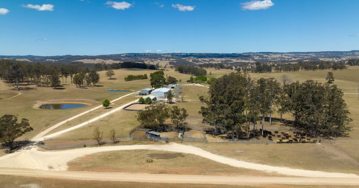 Carinya and Windaroo deliver top Northern Tablelands performance