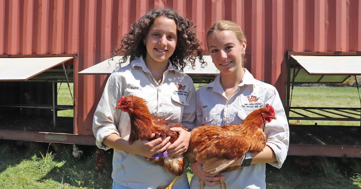 Two Little Chicks pastured eggs grown in West Popannyinning by Gabi and Kate Cousins | Farm Weekly