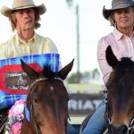 Roma store sale steers top at 272c/kg, 3981 head yarded | Queensland Country Life