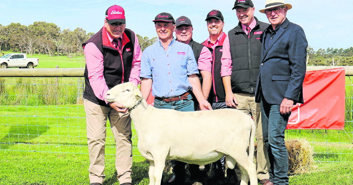 Garnett SheepMaster Parent Stud sells | Farm Weekly