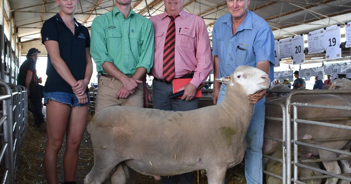 Buyers came from far and wide for Kojonup ram sale