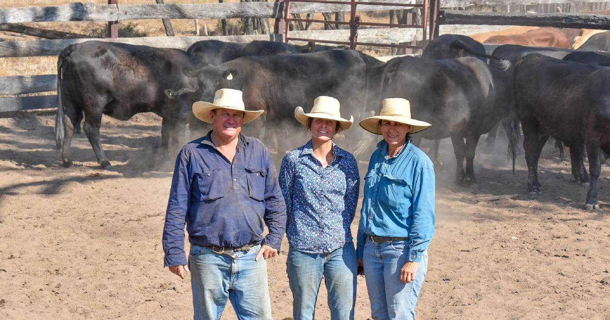 Federal gov’s proposed biosecurity levy gains criticism from graziers | Queensland Country Life