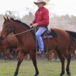 'Memory makers': Crafty couple can't keep up with rocking horse demand