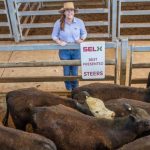 NLRS saleyard price lower limits adjusted to account for market plunge