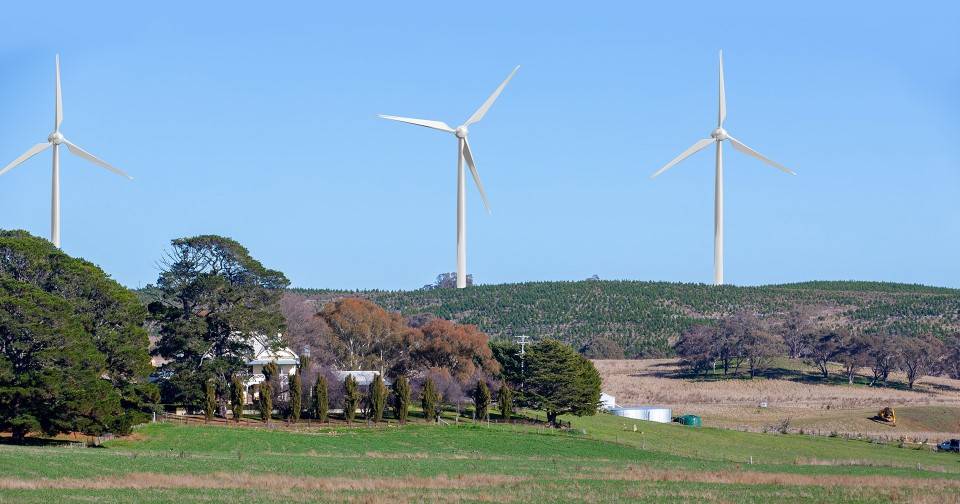 Grow trees or install wind towers?