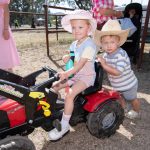 Lancefield Brahman sale kicks off in style