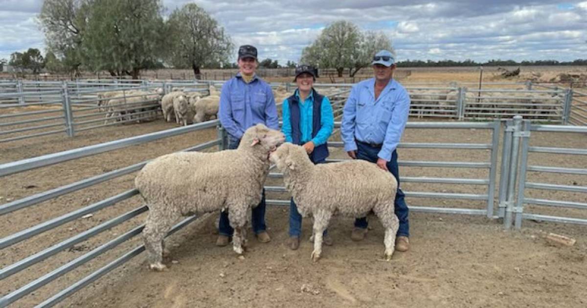 Local buyer secures top-priced ram at Mullengudgery sale