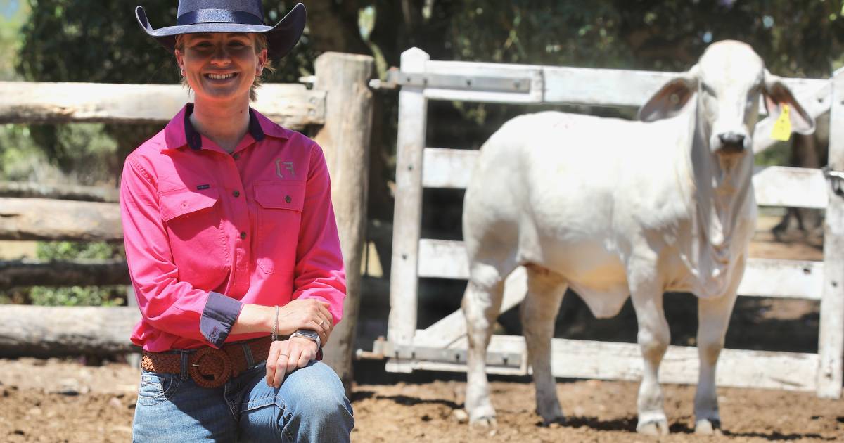 PB Fenech bull and female sale topped by heifer