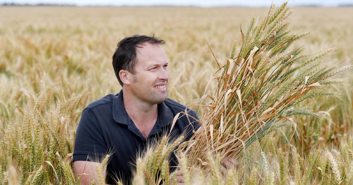 David Jochinke named new National Farmers’ Federation president | Queensland Country Life