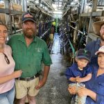 Renewed push to lift road train curfew to abattoirs