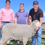 Calrossy Anglican School's Limousin crowned grand champion at Upper Hunter Beef Bonanza