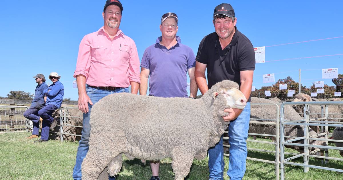 Rangeview onfarm sale peaks at $5100 at Darkan | Farm Weekly