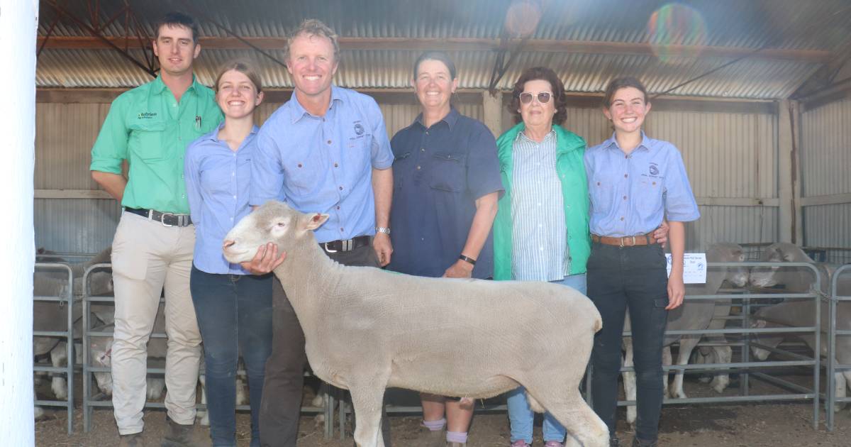 Leween Poll Dorset tops $1200 six times at Kendenup | Farm Weekly