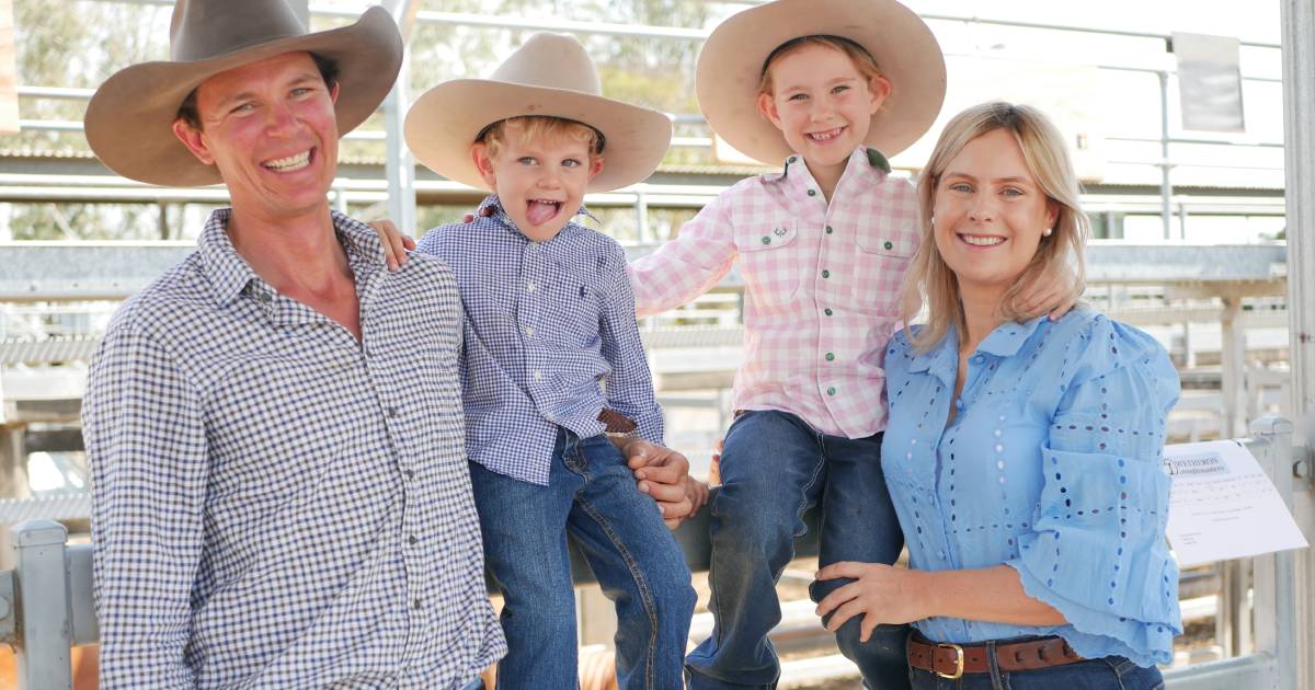 Faces at the CQ Invitational Droughtmaster Sale