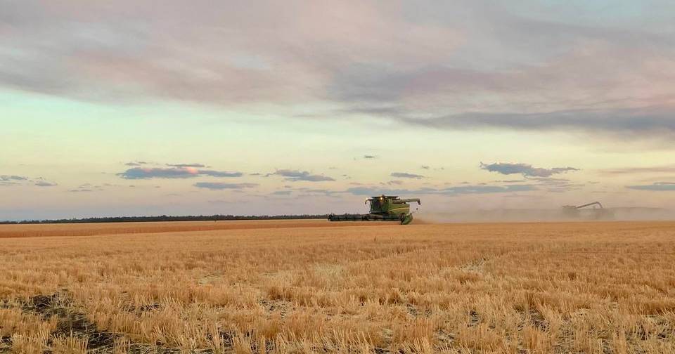 Harvesters begin to roll off in Queensland