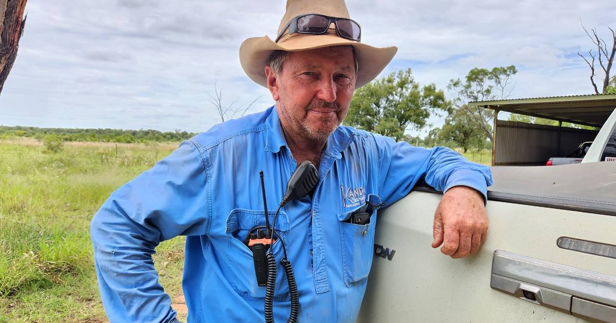 Torrens Creek graziers aiming to improve management strategies | North Queensland Register